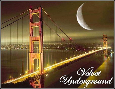 Velvet Underground